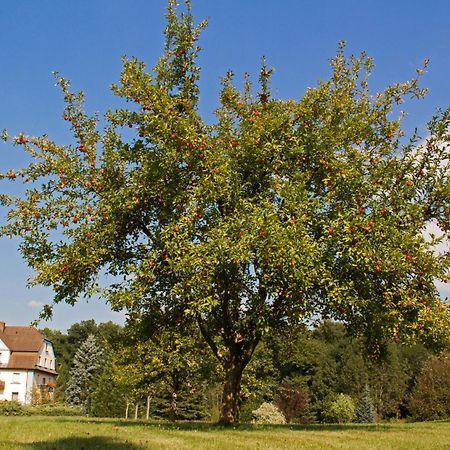 Hotel Jaegerhof Staatsbad Brückenau Eksteriør billede